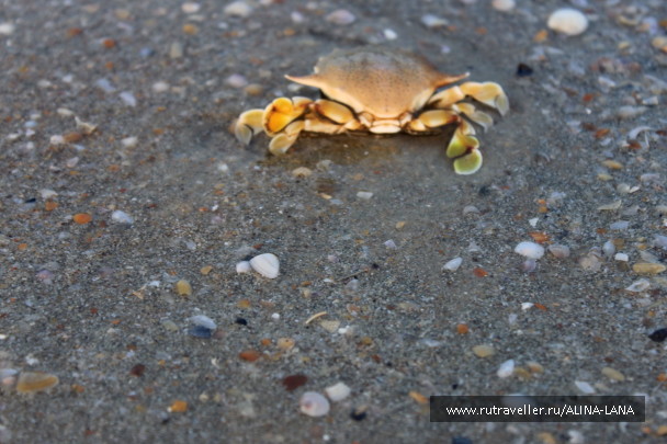photo 1427858
