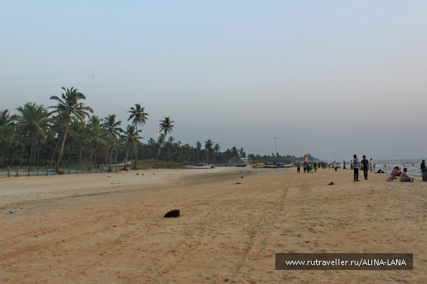 photo 1427862