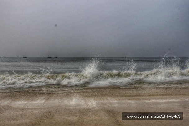 photo 1431709