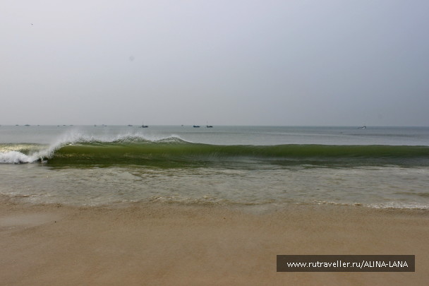 photo 1431710