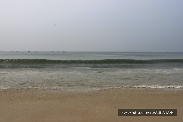 photo 1431711