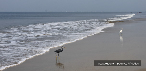 photo 1433889