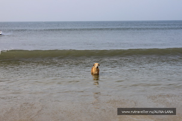 photo 1433894