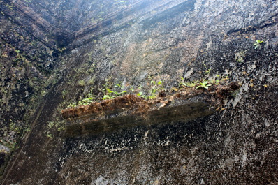 photo 1433909