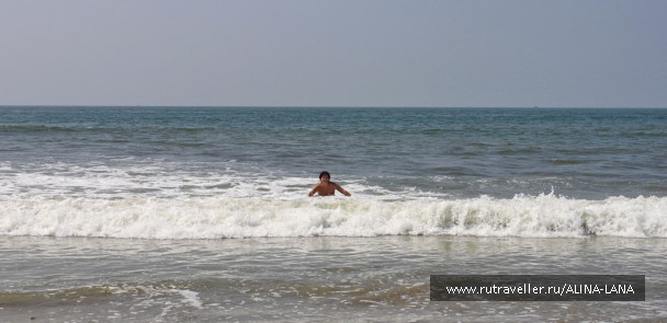 photo 1434830