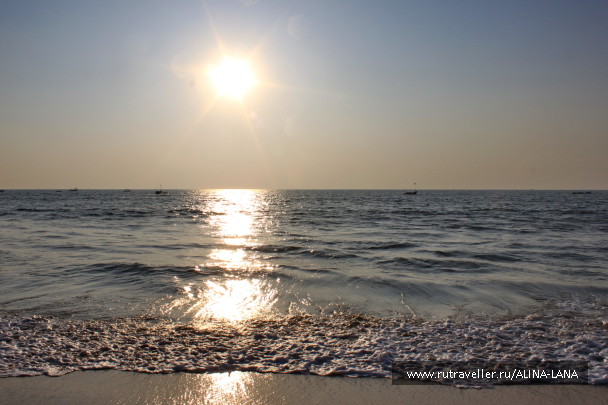 photo 1441949