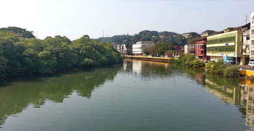 photo 878701