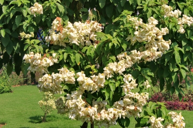 photo 878705