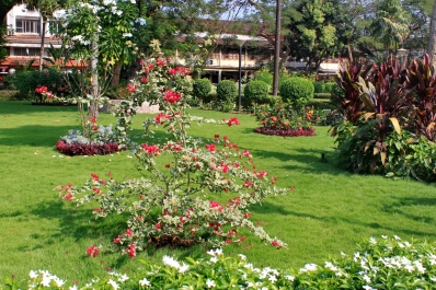 photo 878707