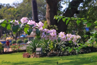 photo 878711