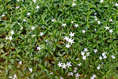 photo 878712