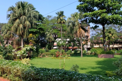 photo 878714
