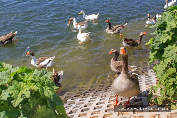 photo 672739