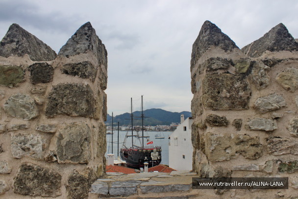 photo 1496078