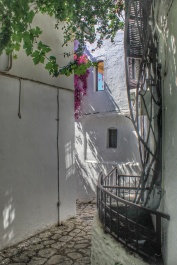 photo 1509688