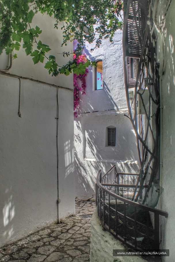 photo 1509688