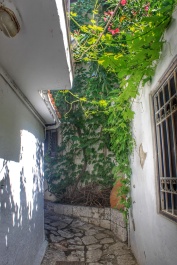 photo 1509689