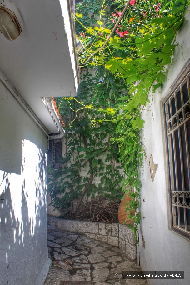 photo 1509689