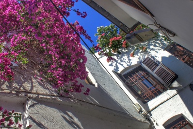photo 1509692
