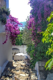 photo 1509693