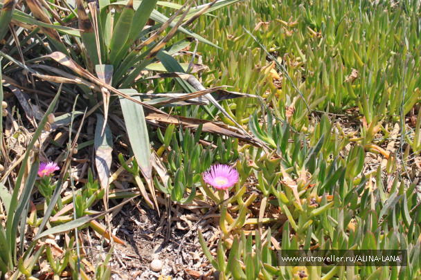 photo 1684336