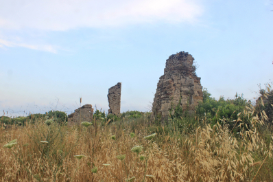 photo 1684343