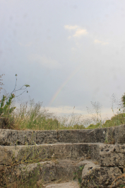 photo 1684345
