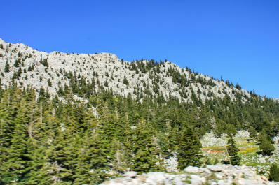 photo 672166