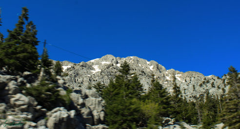 photo 672167