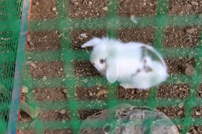 photo 840171