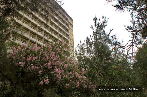 photo 376203