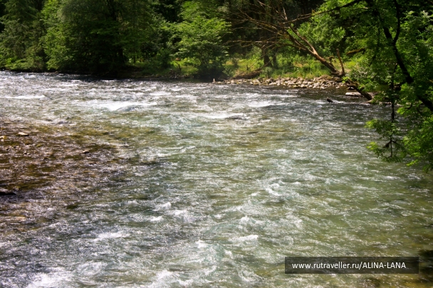 photo 910028