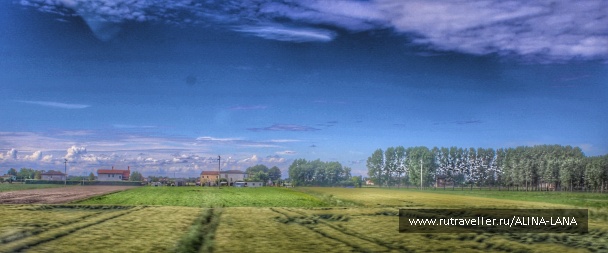 photo 1332955