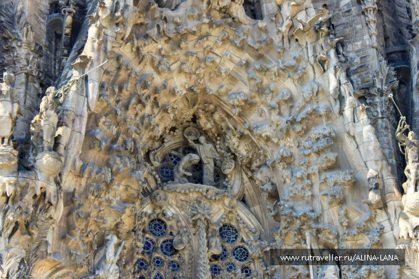 photo 607893