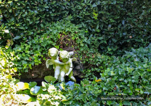 photo 607983