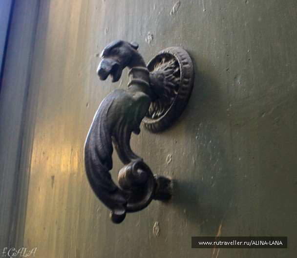 photo 608052