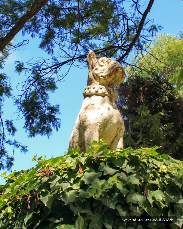 photo 608062