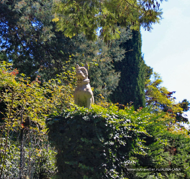 photo 608063