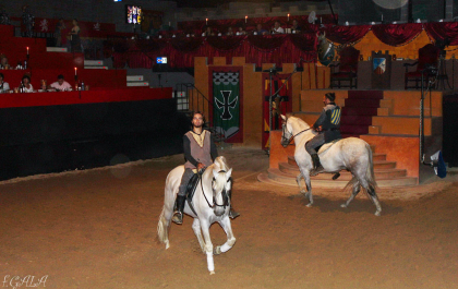 photo 713726