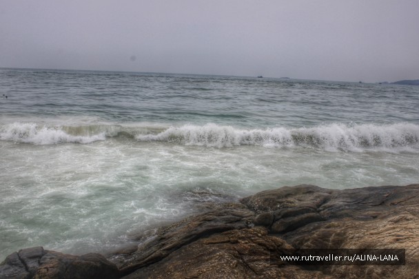 photo 1316133