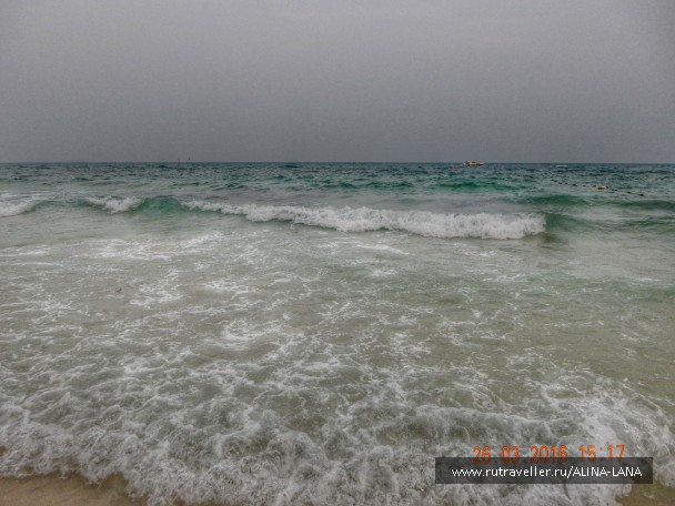 photo 1342858
