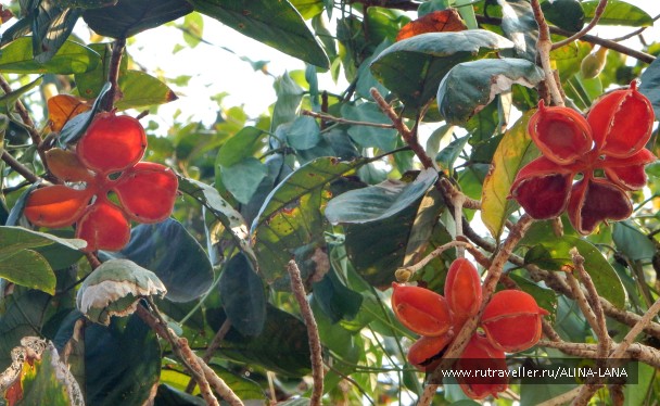 photo 1342866