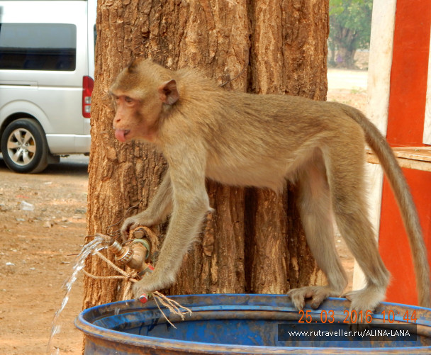 photo 1344959