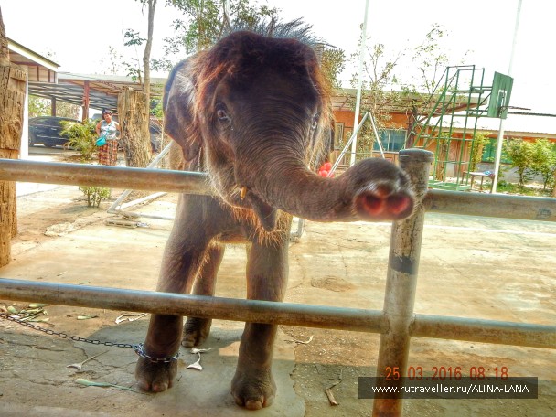 photo 1344960