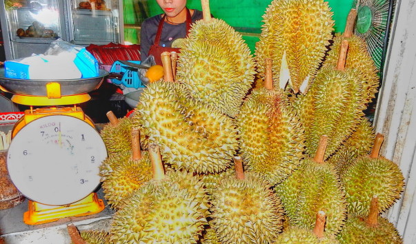 DSCN3999-01