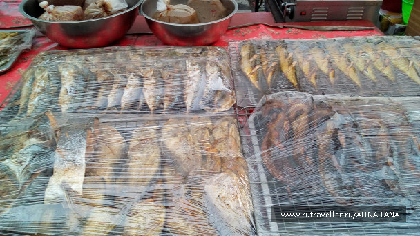 photo 1503176