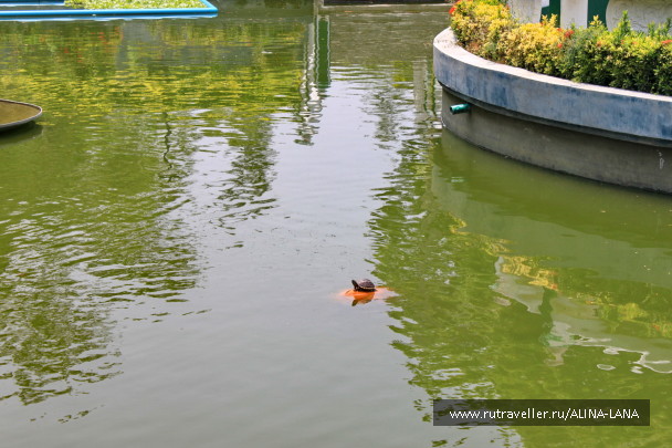 photo 1503465