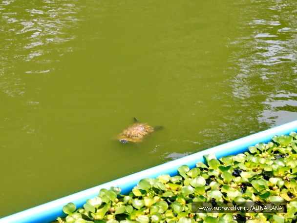 photo 1503466