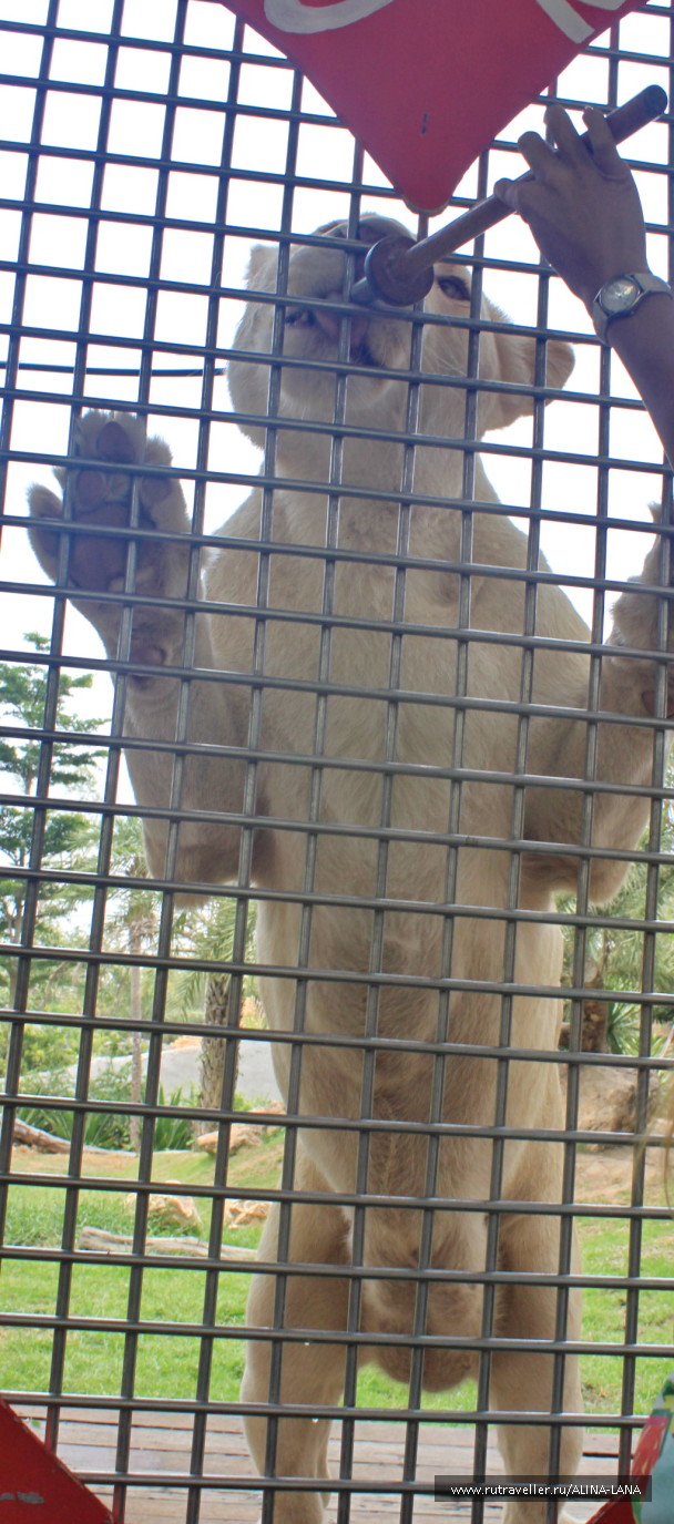 photo 1503490