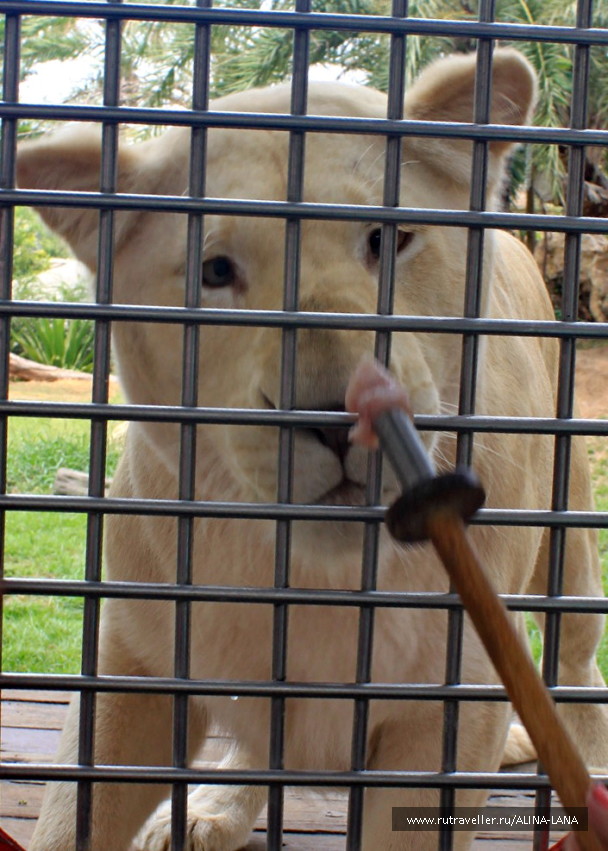 photo 1503491